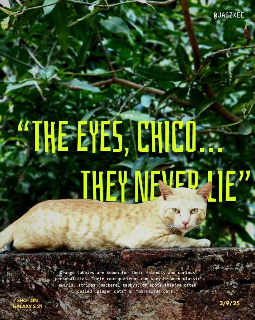 Design-Best-Freelance-Digital-Marketer-In-Malappuram